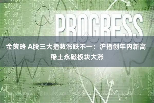 金策略 A股三大指数涨跌不一：沪指创年内新高 稀土永磁板块大涨