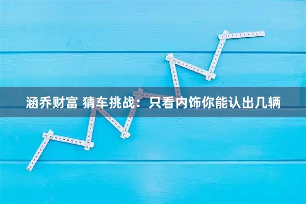涵乔财富 猜车挑战：只看内饰你能认出几辆